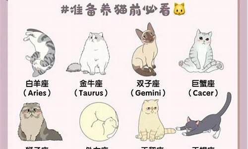 十二星座的水晶鞋是什么?_十二星座水晶猫